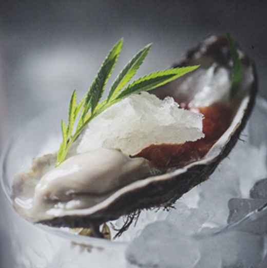 Oester salsa chipotle